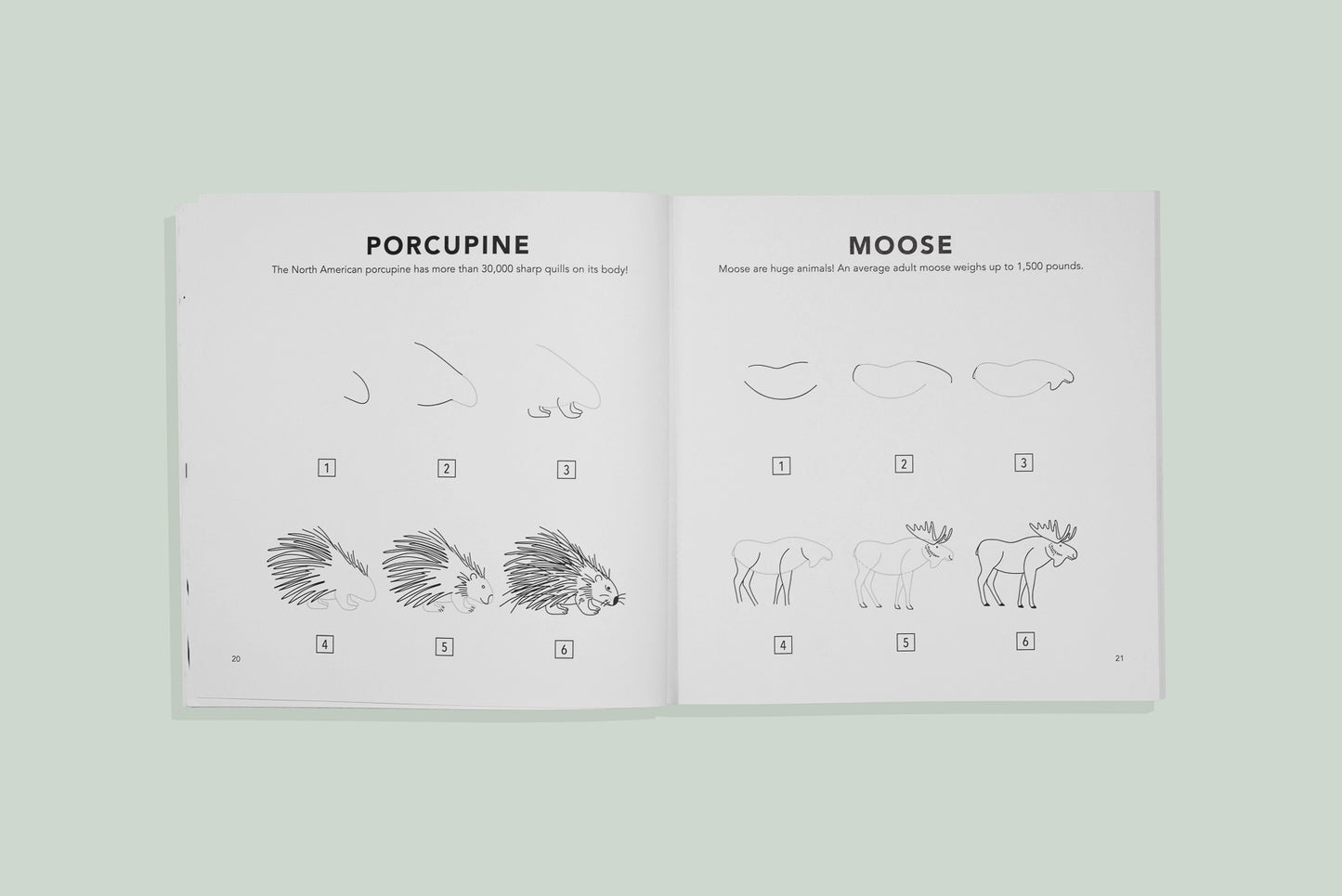 How To Draw For Kids: Mushrooms & Woodland Creatures