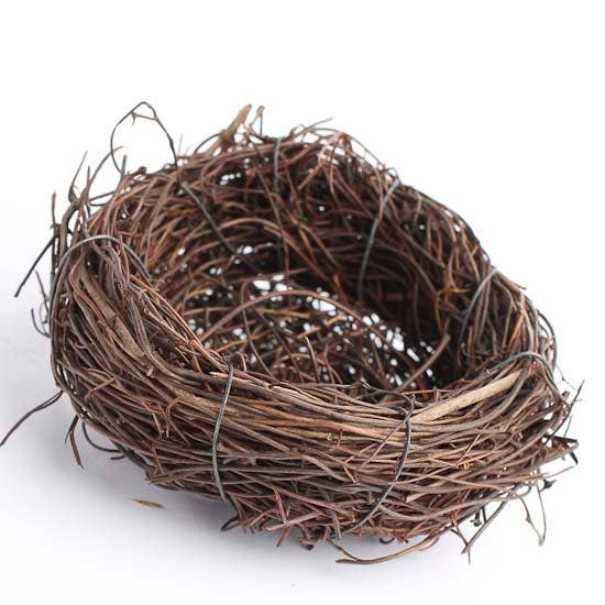 Twig Birds Nest