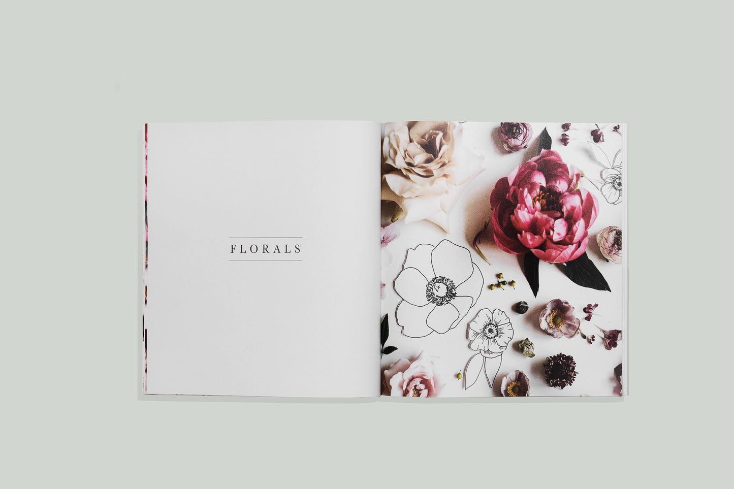 Modern Florals - Mini