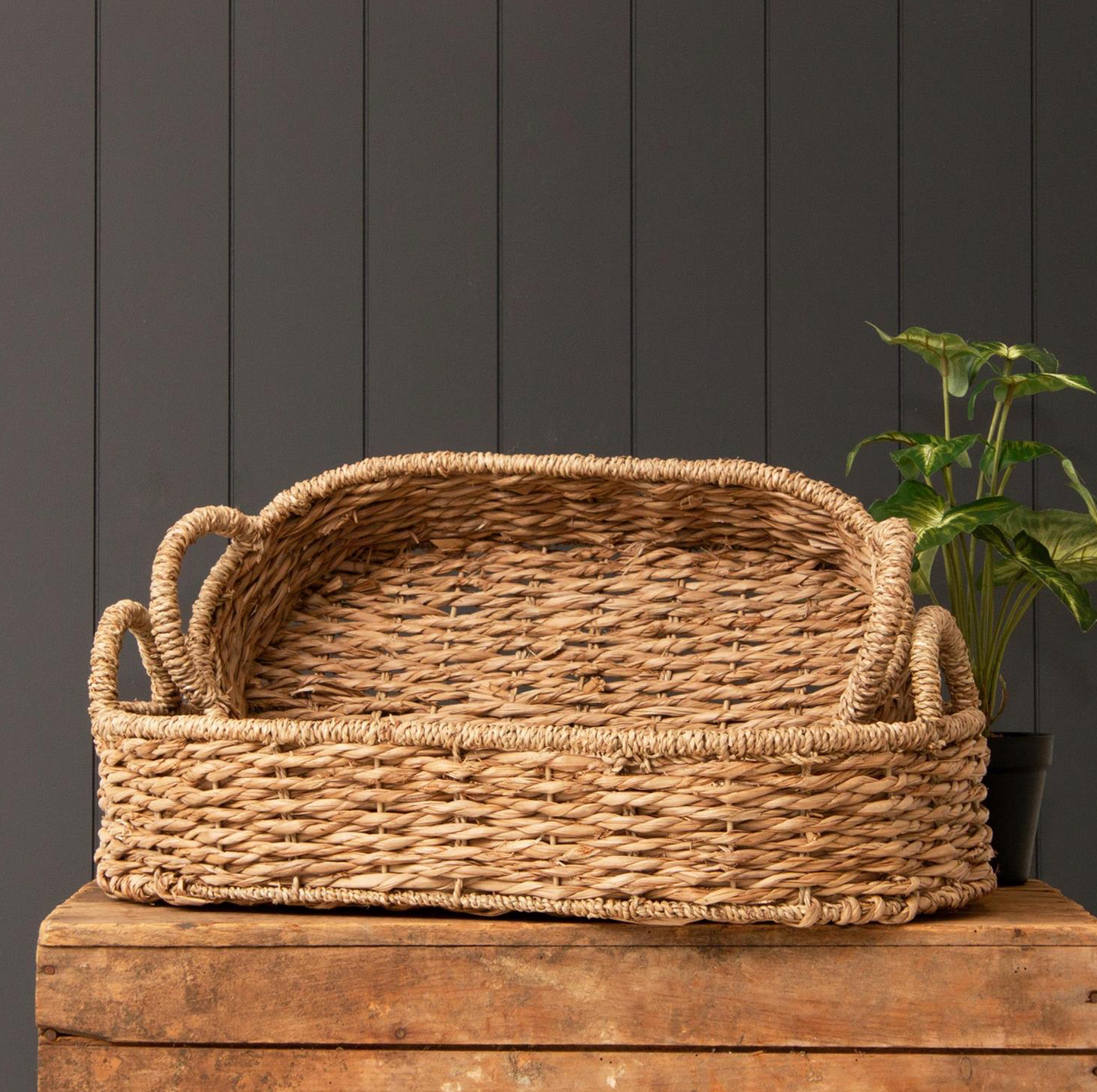 Seagrass Basket Trays