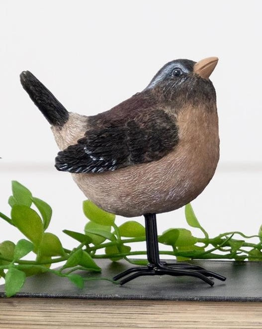 Birds With Metal Feet