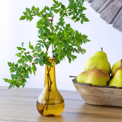 Amber Hombre Glass Bud Vase