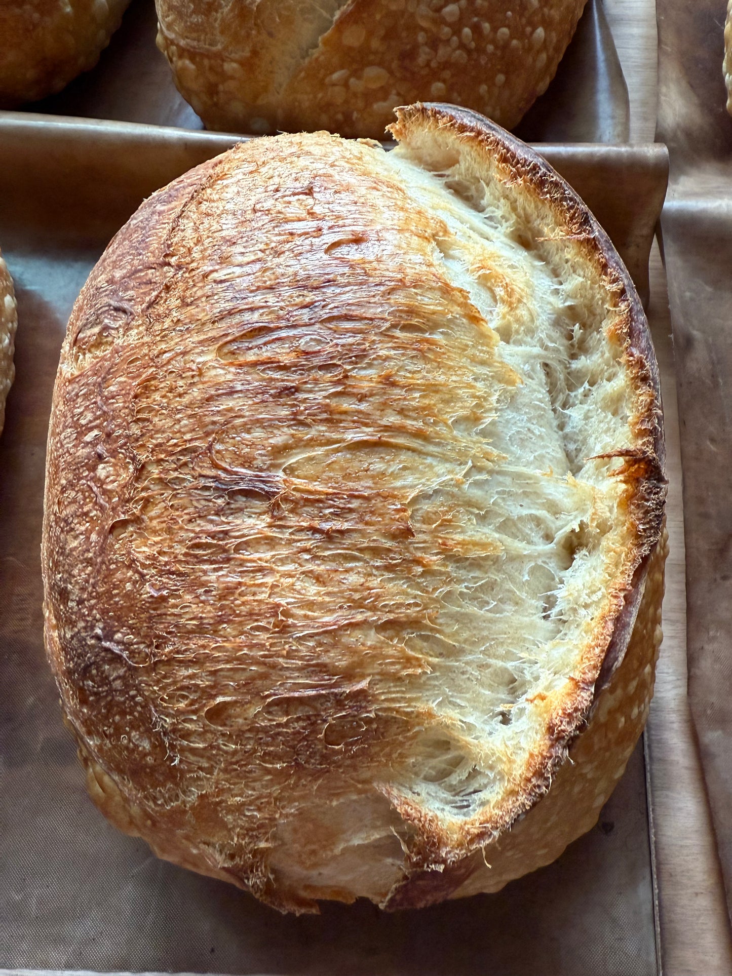 Sourdough Bread