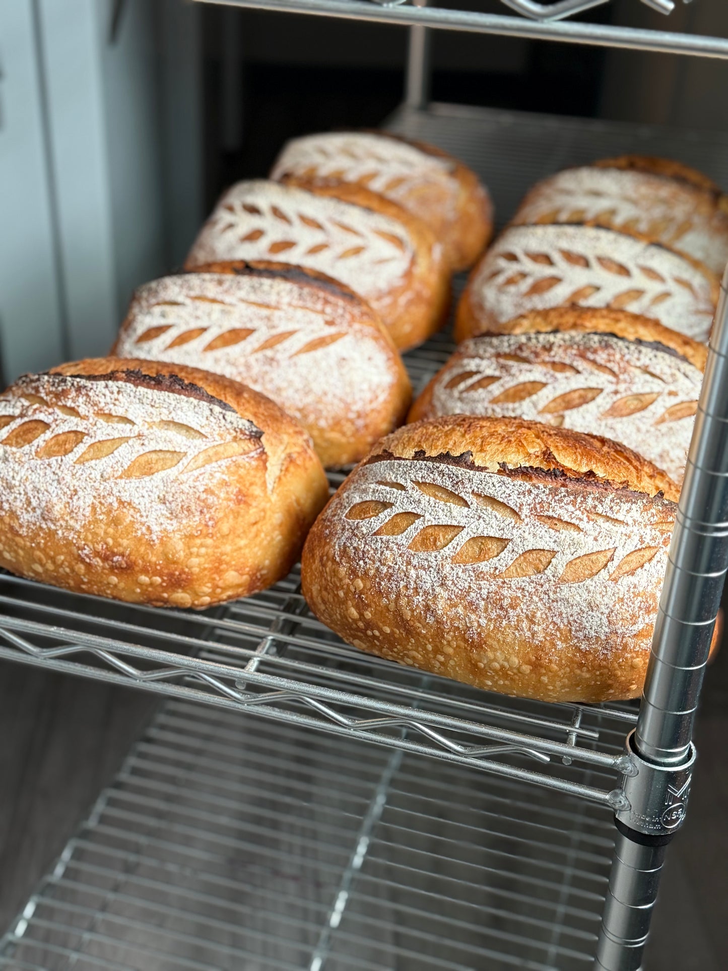 Sourdough Bread