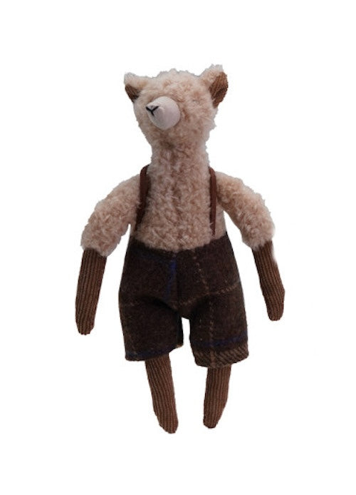 Llama in Clothes