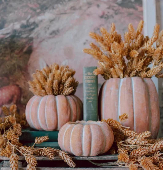 Pumpkin Planter