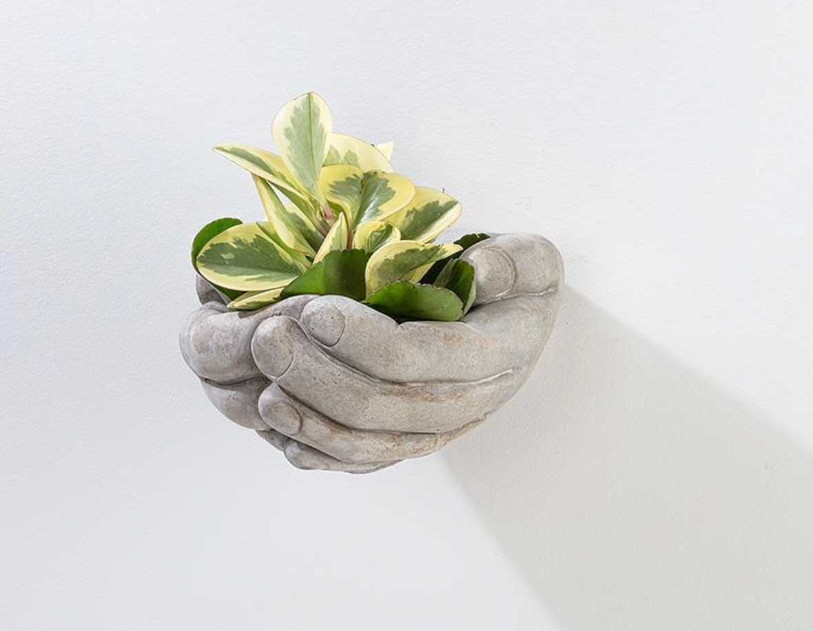 Hands Wall Planter