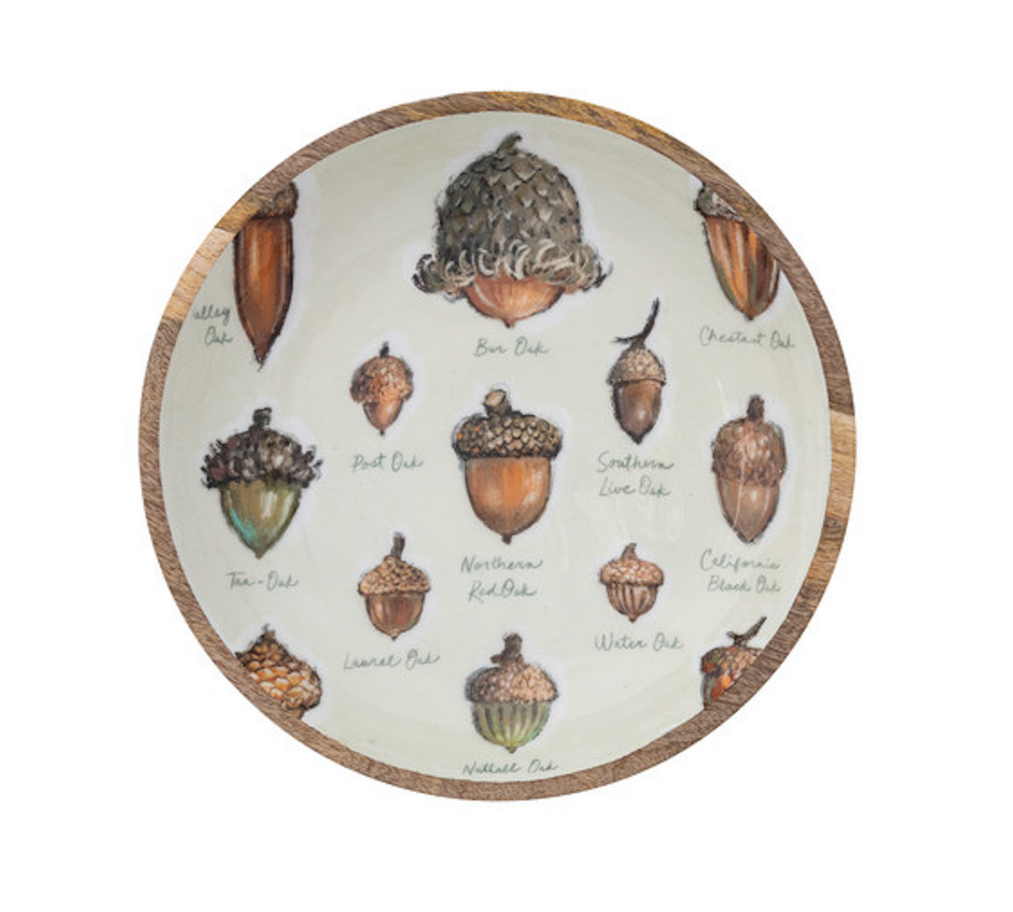 Bowls w/ Acorns