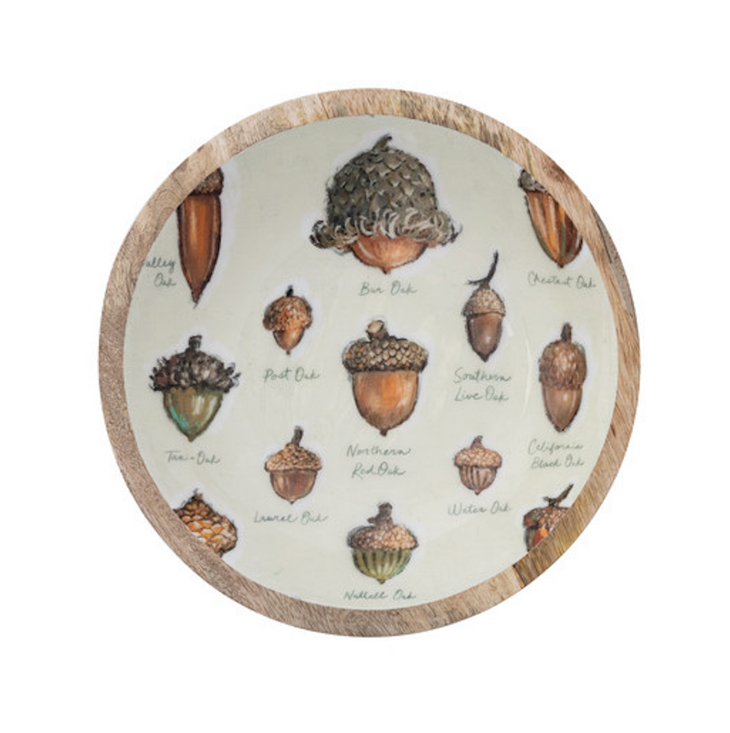 Bowls w/ Acorns