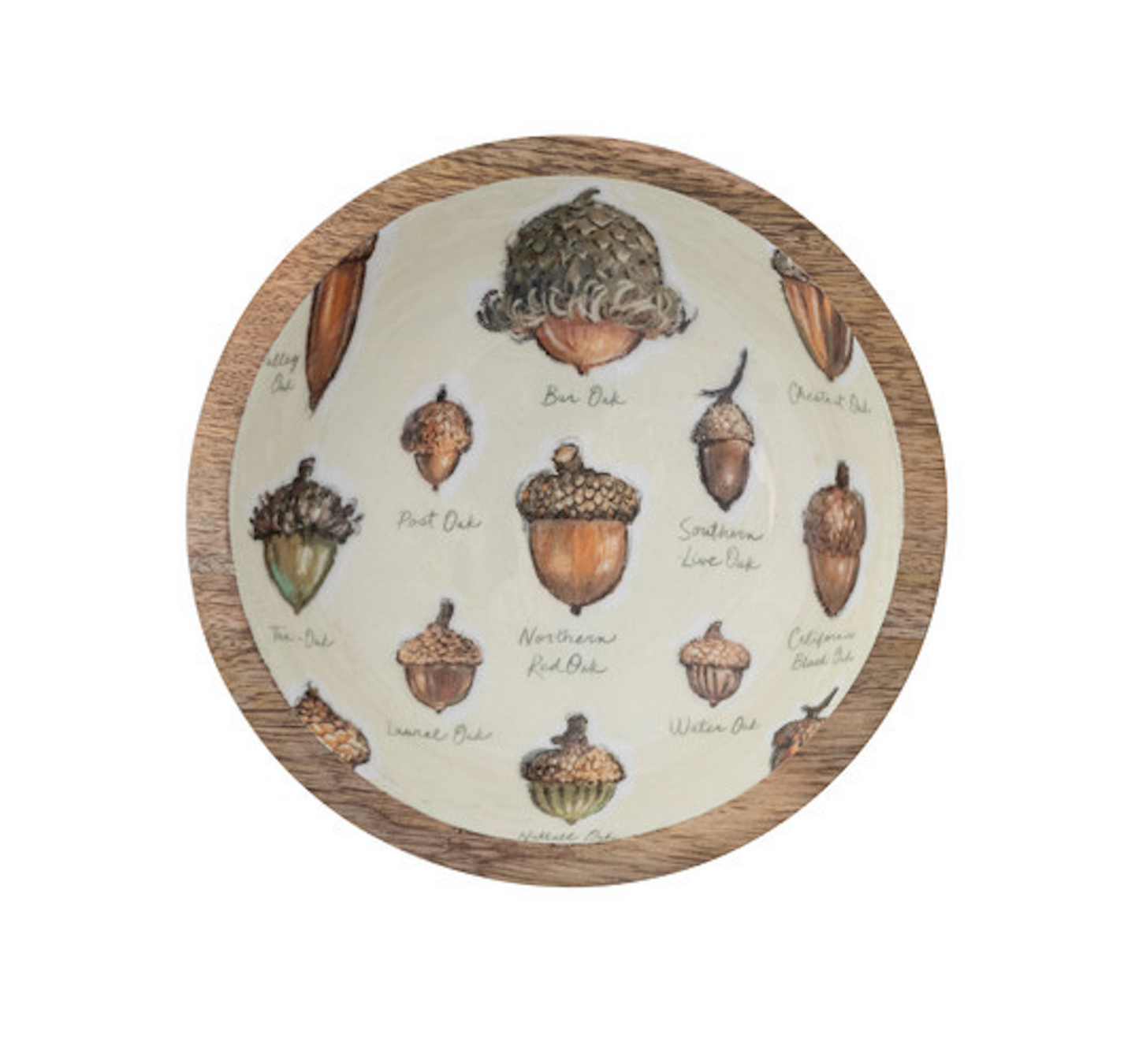 Bowls w/ Acorns