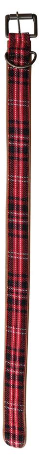 Small Dog Collar