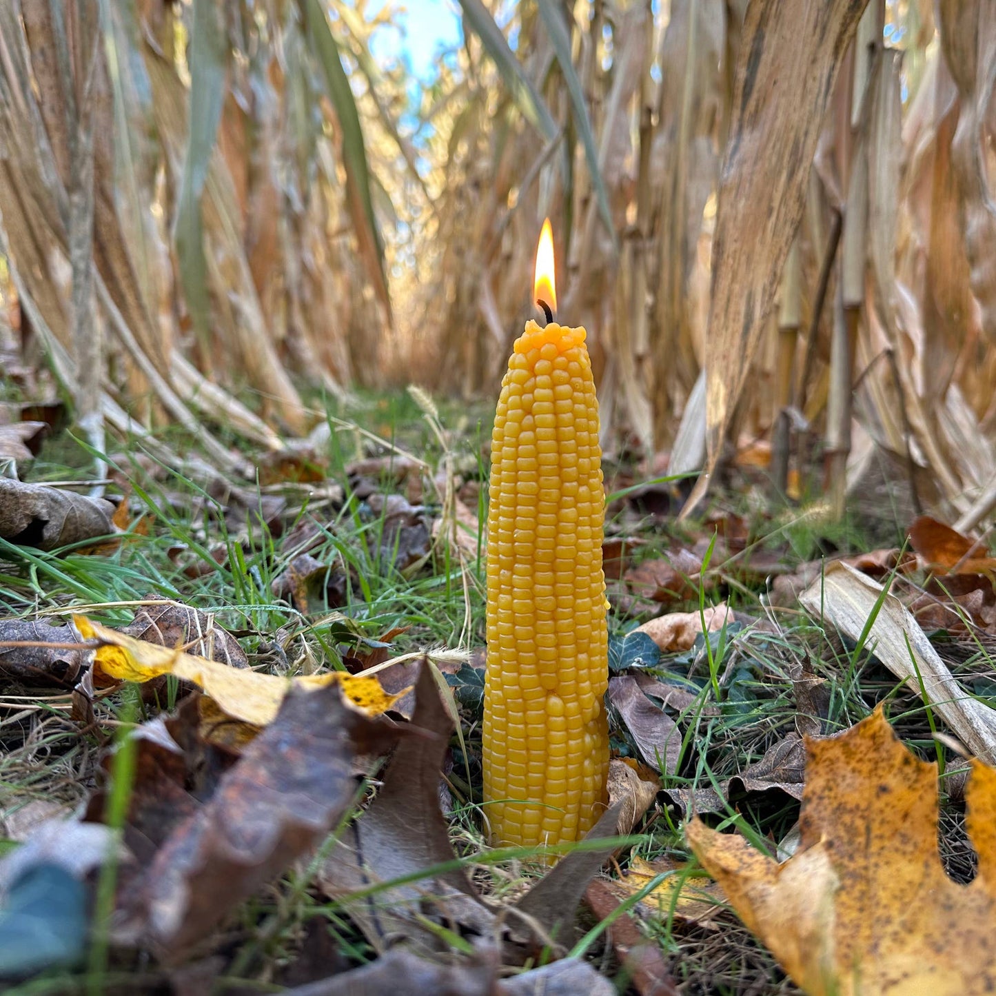 Corn Beeswax Candle