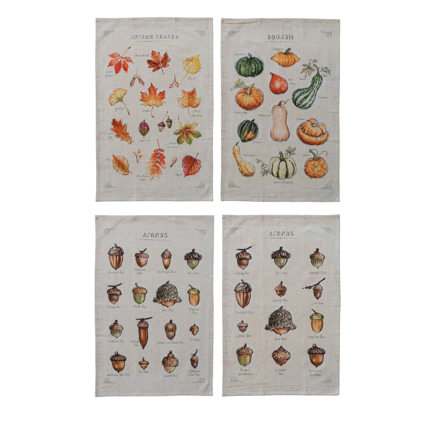 Printed Tea Towel with Acorns/Squash/Leaves/Pumpkins, 4 Styles ©