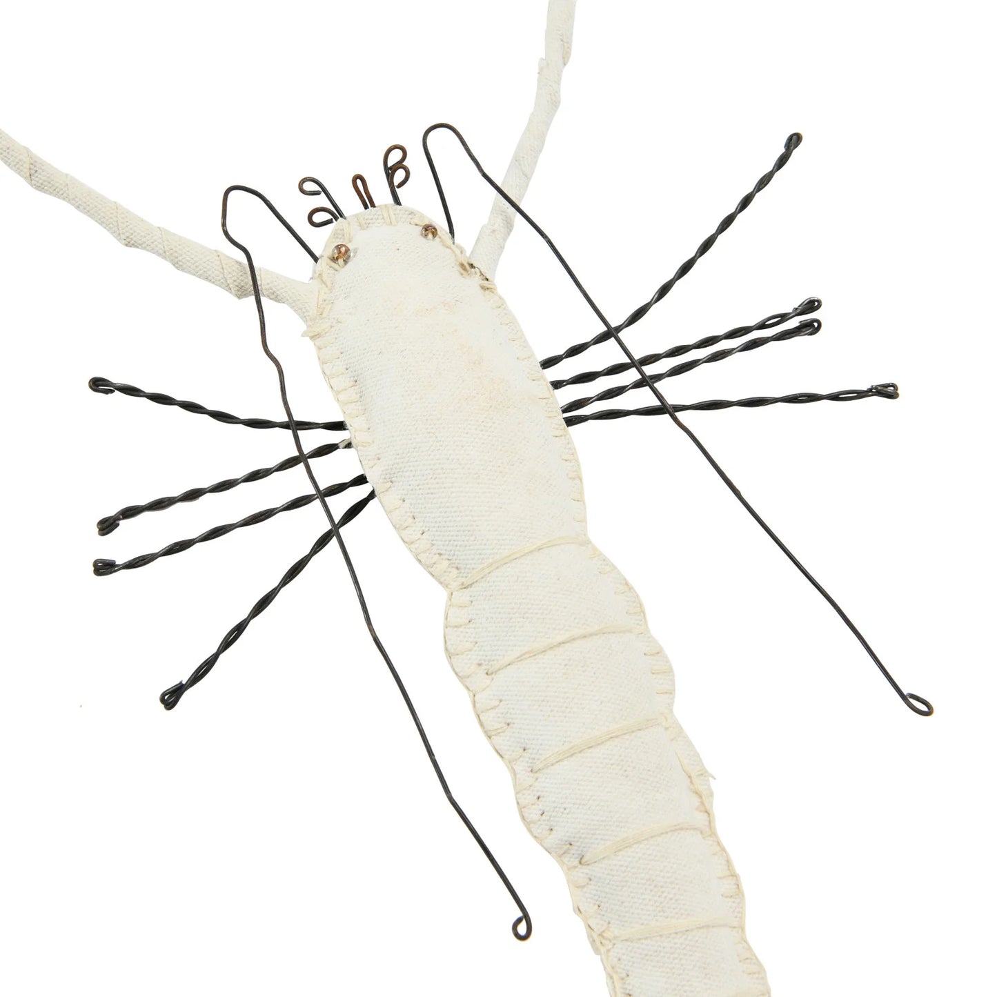 Hanging Lobster