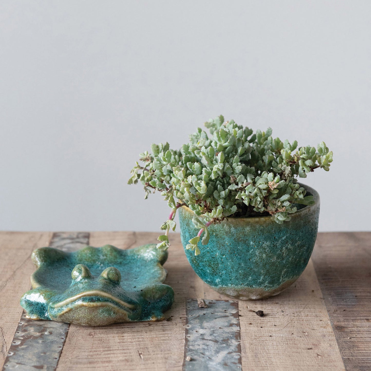 Planter with Frog Base