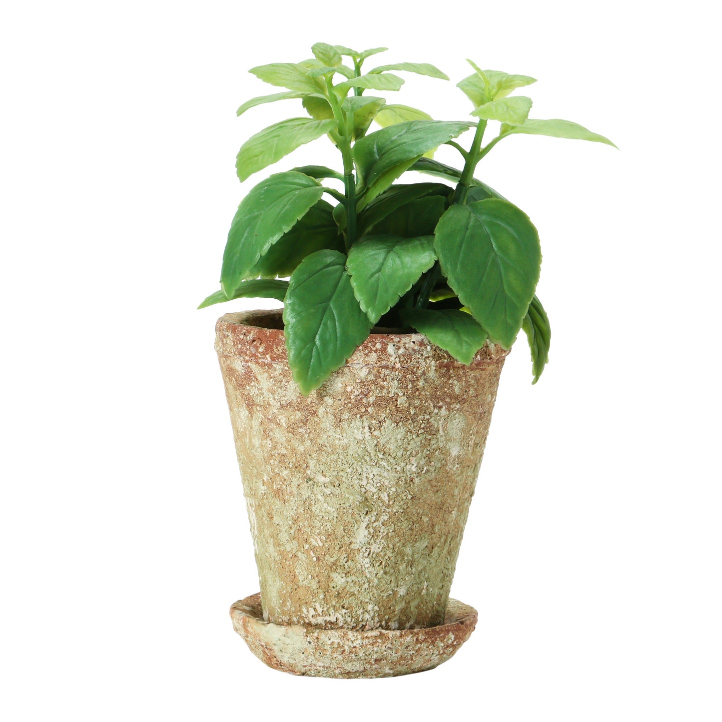 Planter w/ Saucer