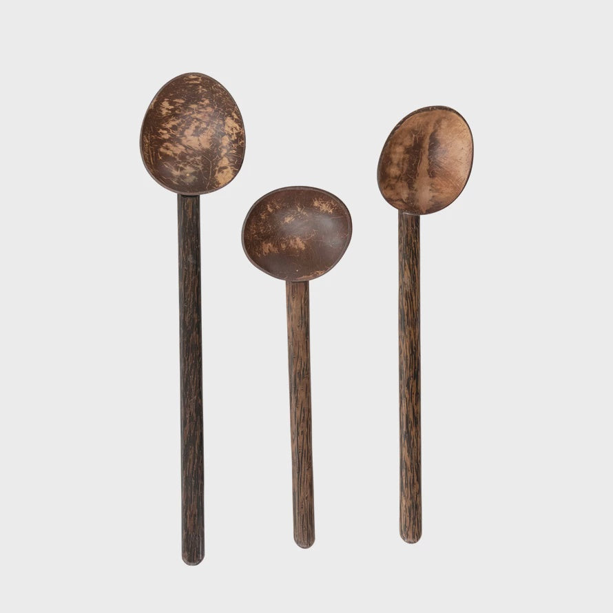 Assorted Size Coconut & Mango Spoons