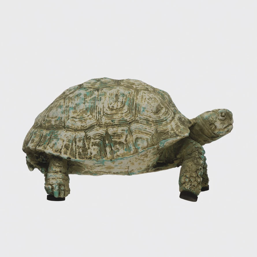Turtle
