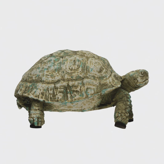 Turtle