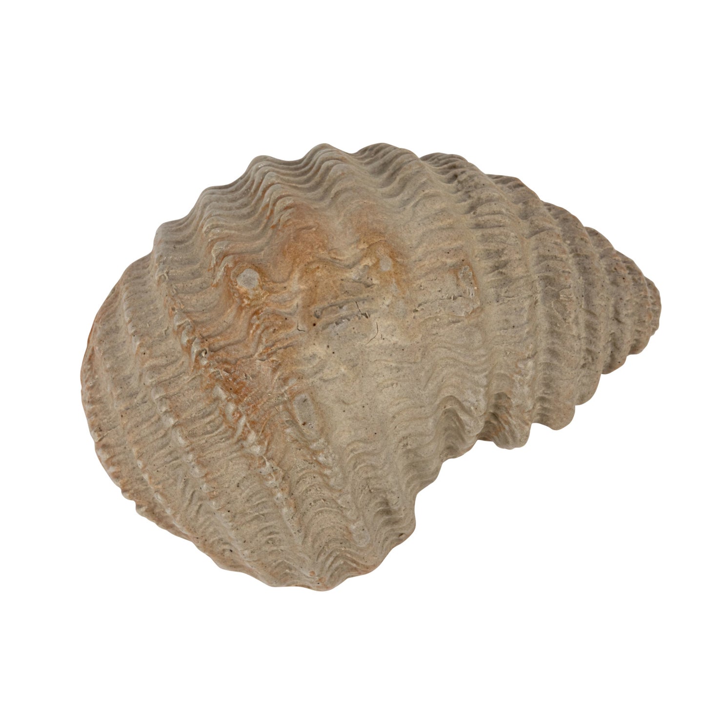 Shell Dish