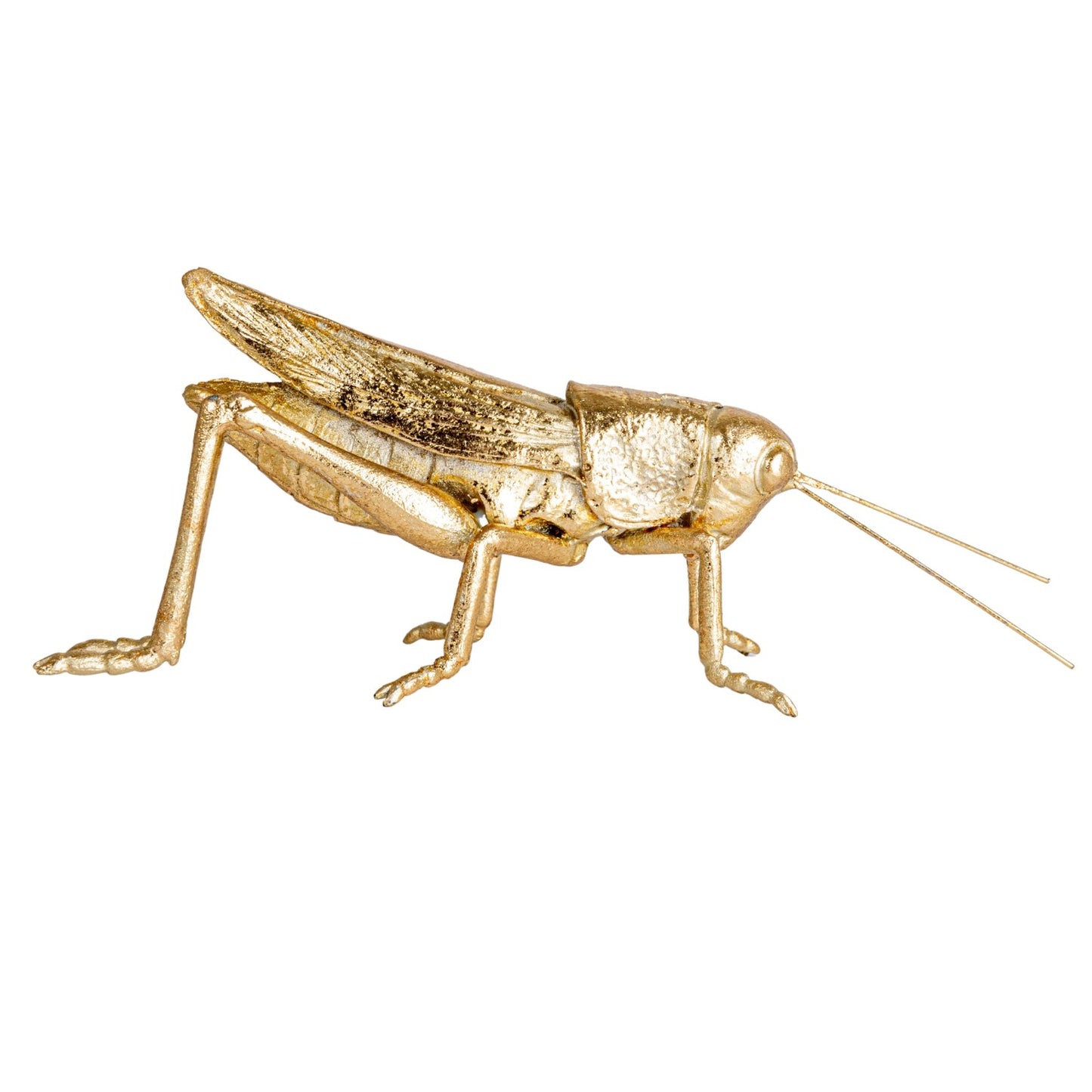 Resin & Metal Grasshopper