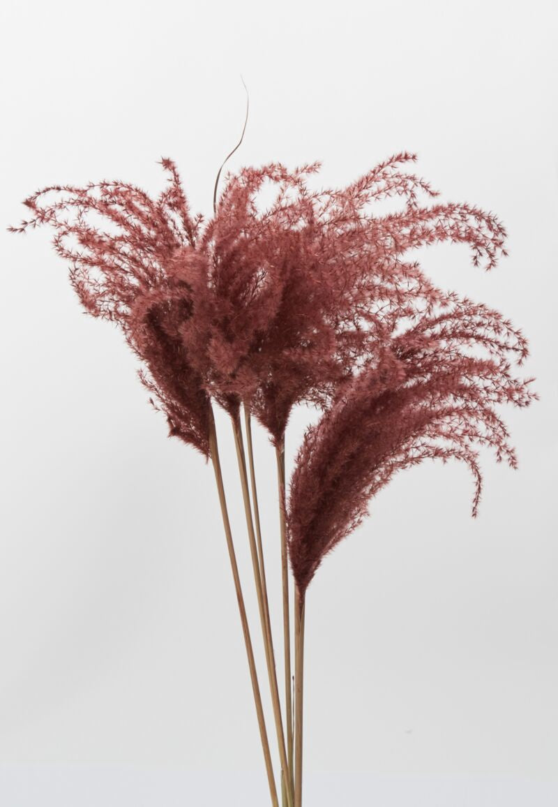Dried Miscanthus