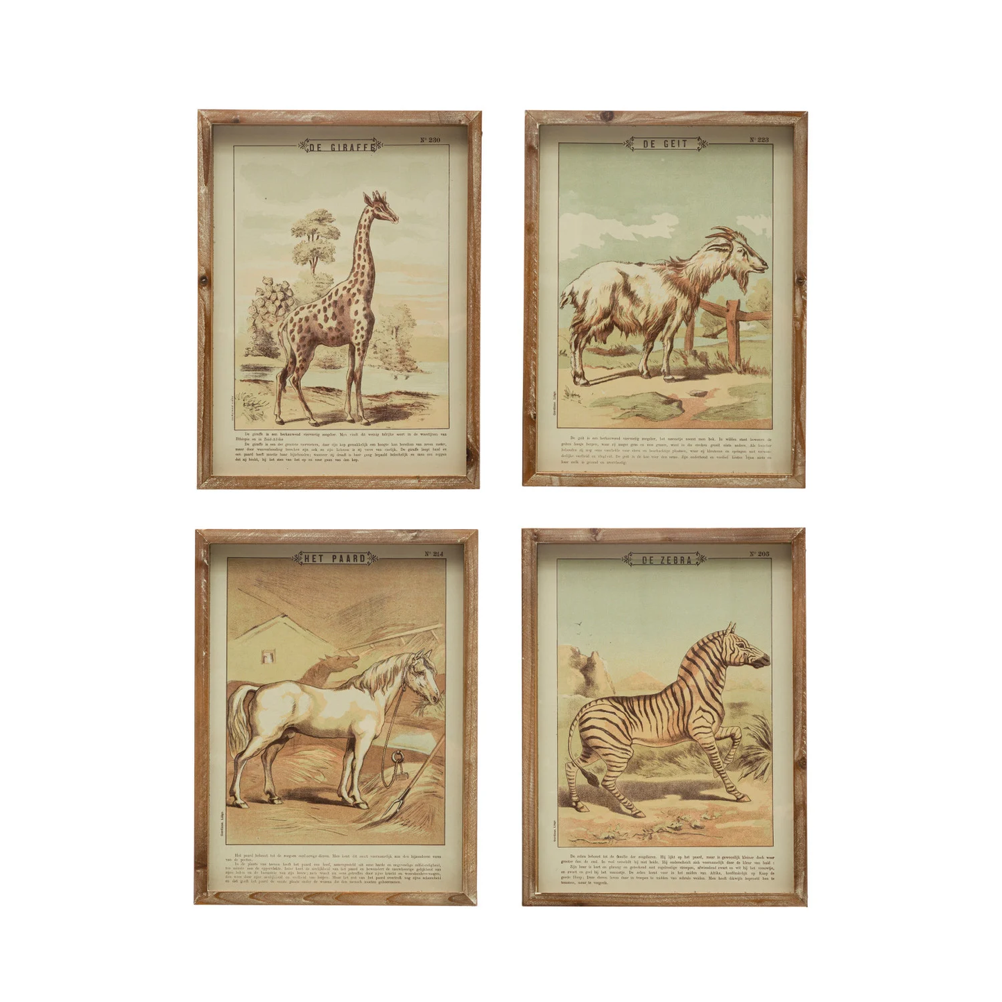 Wood Framed Glass Wall Décor w/ Vintage Reproduction Animal, Multi Color, 4 Styles
