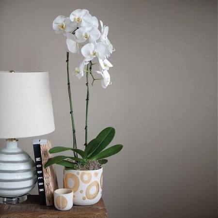 Mini Planter