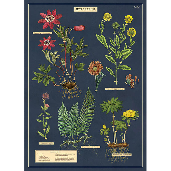 Framed Wall Art Poster – 20” x 28” with Vintage-Inspired Hanging Kit