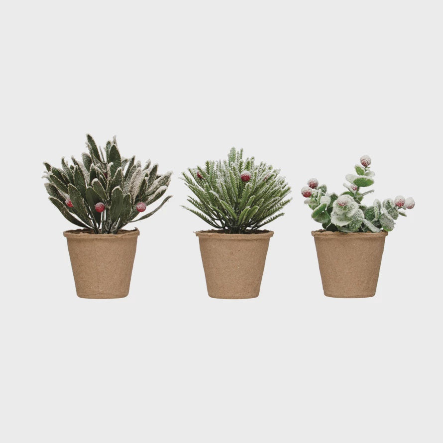 6"H - 7"H Faux Greens w/ Red Berries in Paper Mache Pot, Snow Finish & Green