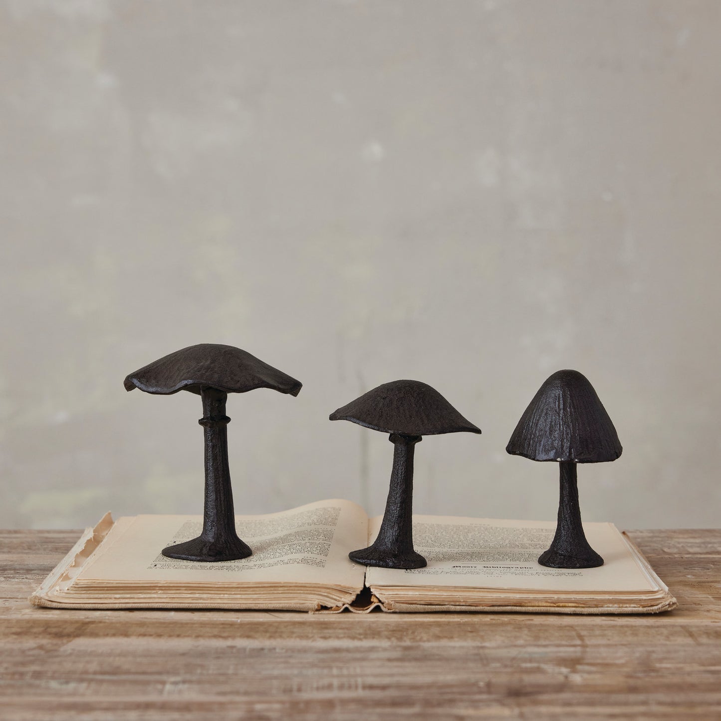 Mushroom
