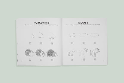 How To Draw For Kids: Mushrooms & Woodland Creatures
