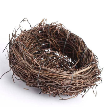 Twig Birds Nest