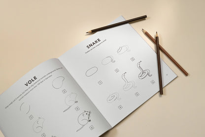How To Draw For Kids: Mushrooms & Woodland Creatures