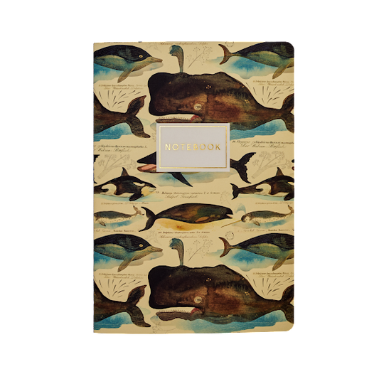 Notebook - Whales
