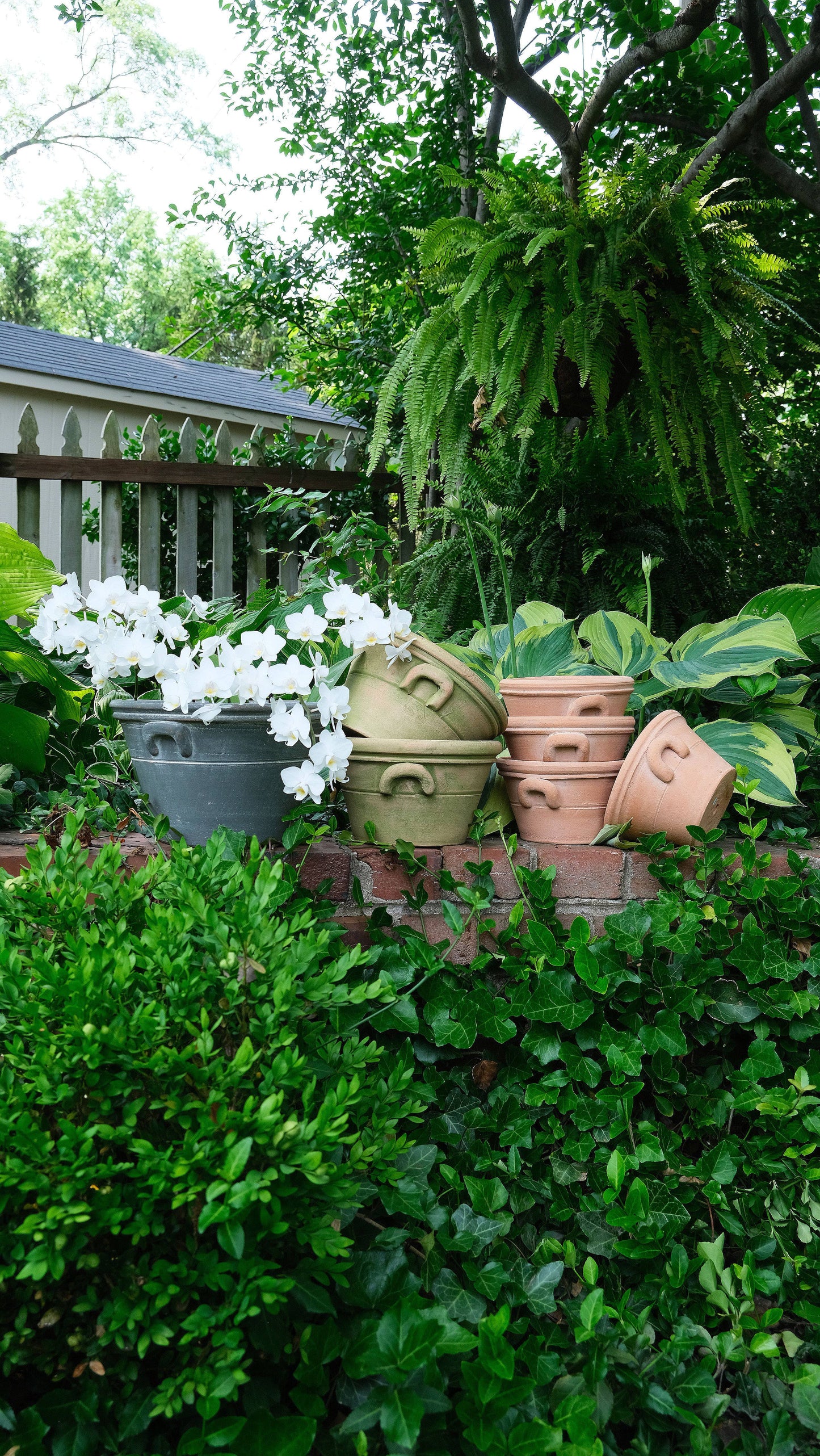 Pottery - Provence