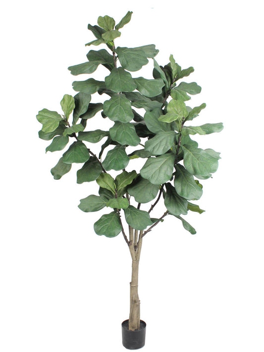 7-Foot Fiddle Leaf Fig Tree - Lifelike Greenery Home Decor