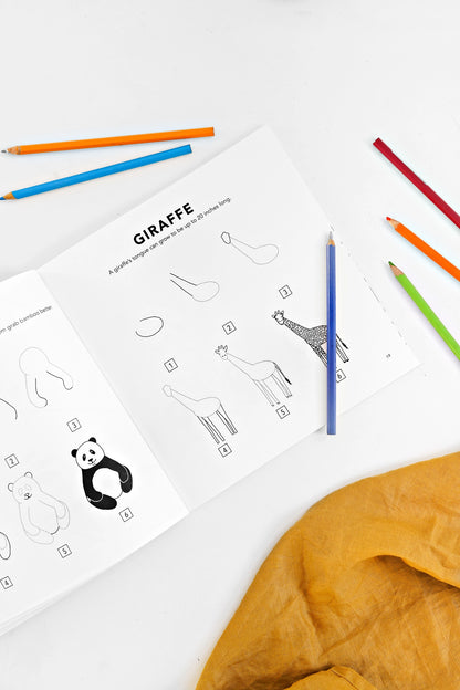 How to Draw All the Animals