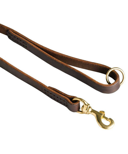 Dog Leash