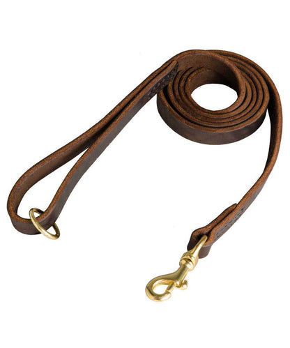 Dog Leash