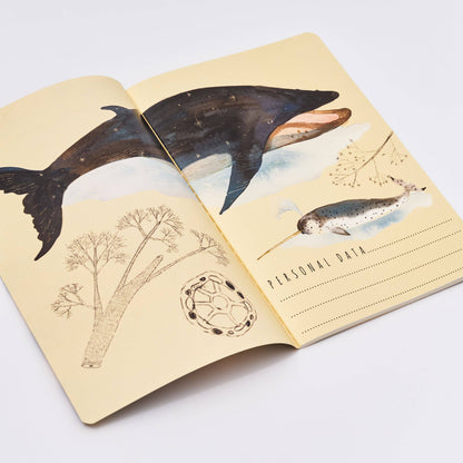 Notebook - Whales