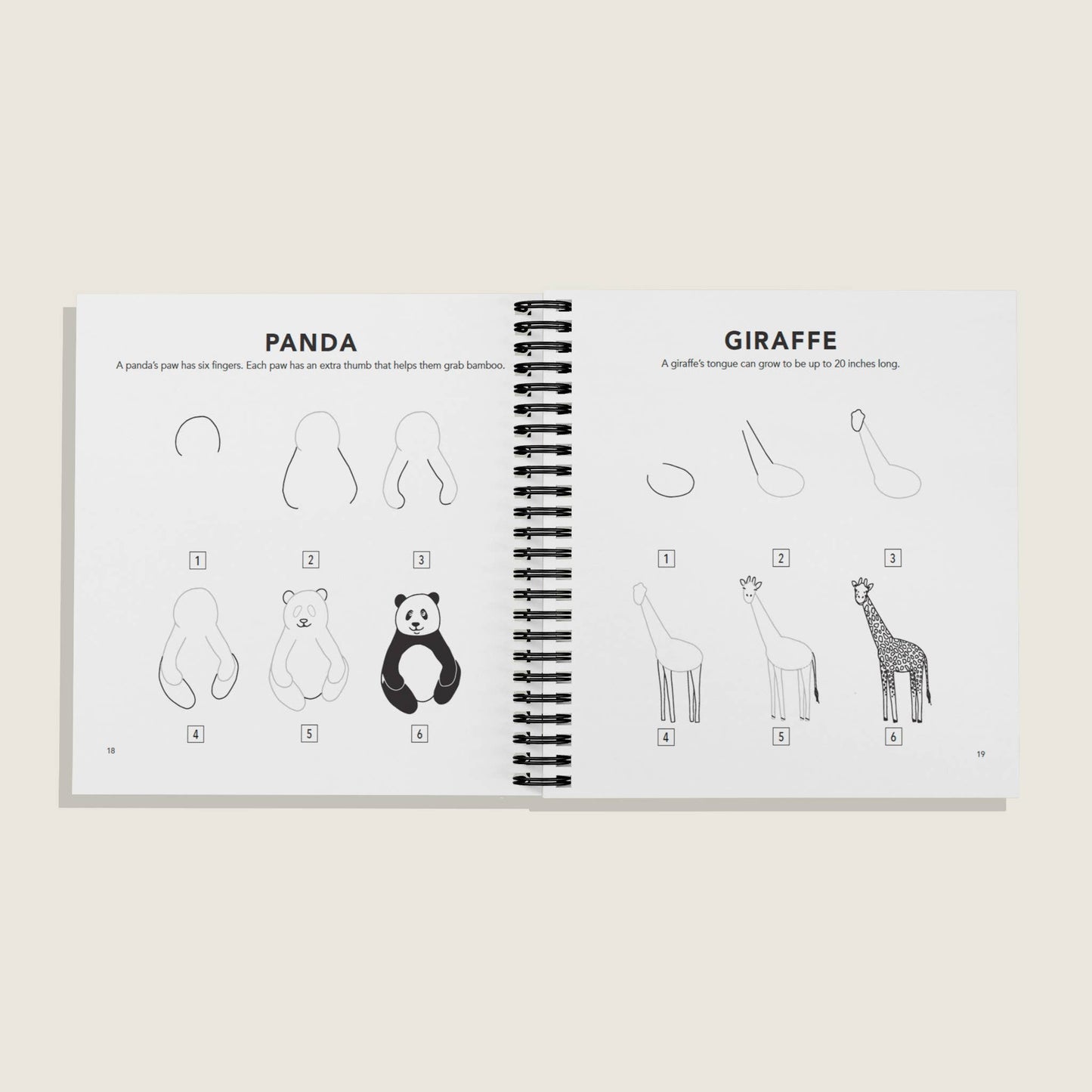 How to Draw All the Animals
