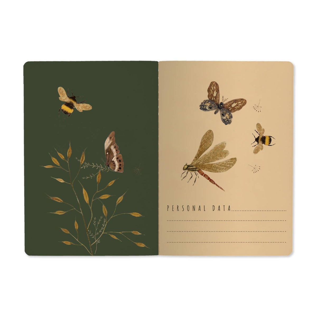 Notebook - Butterflies – Beauty in the Making