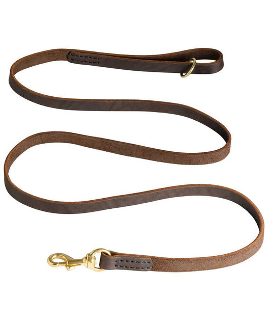 Dog Leash