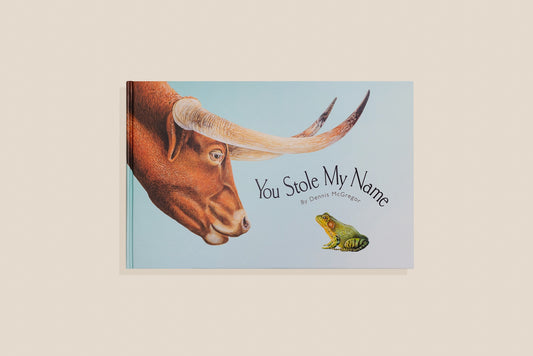 You Stole My Name (Picture Book For Kids)