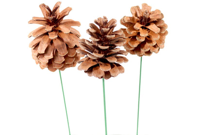 2.5" Natural Pinecone Pick Artificial Holiday Décor Set 100