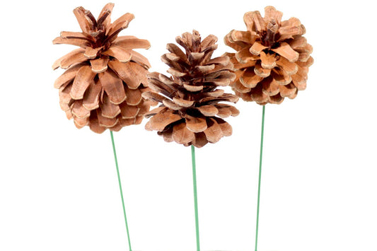 2.5" Natural Pinecone Pick Artificial Holiday Décor Set 100