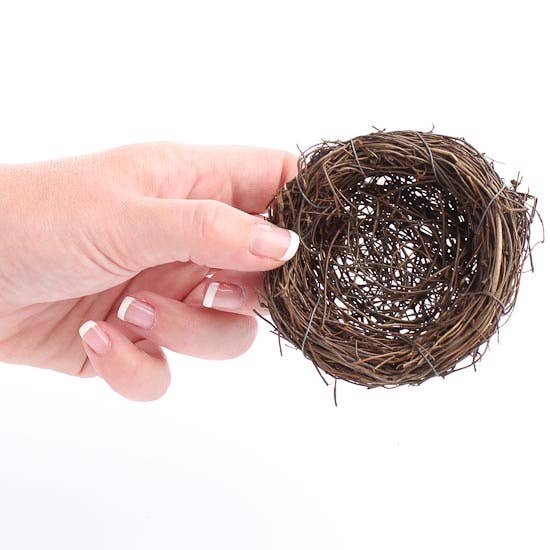 Twig Birds Nest