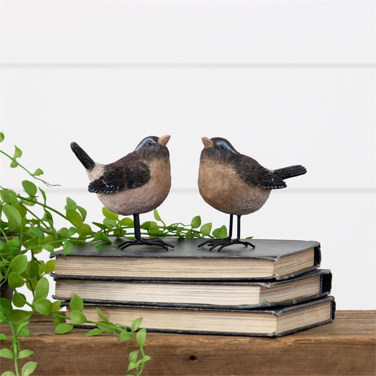 Birds With Metal Feet