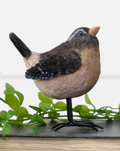Birds With Metal Feet